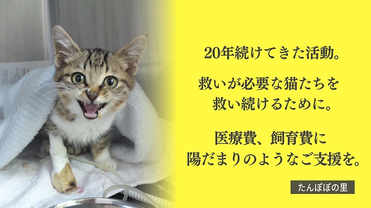 READYFOR(レディーフォー) tweet media