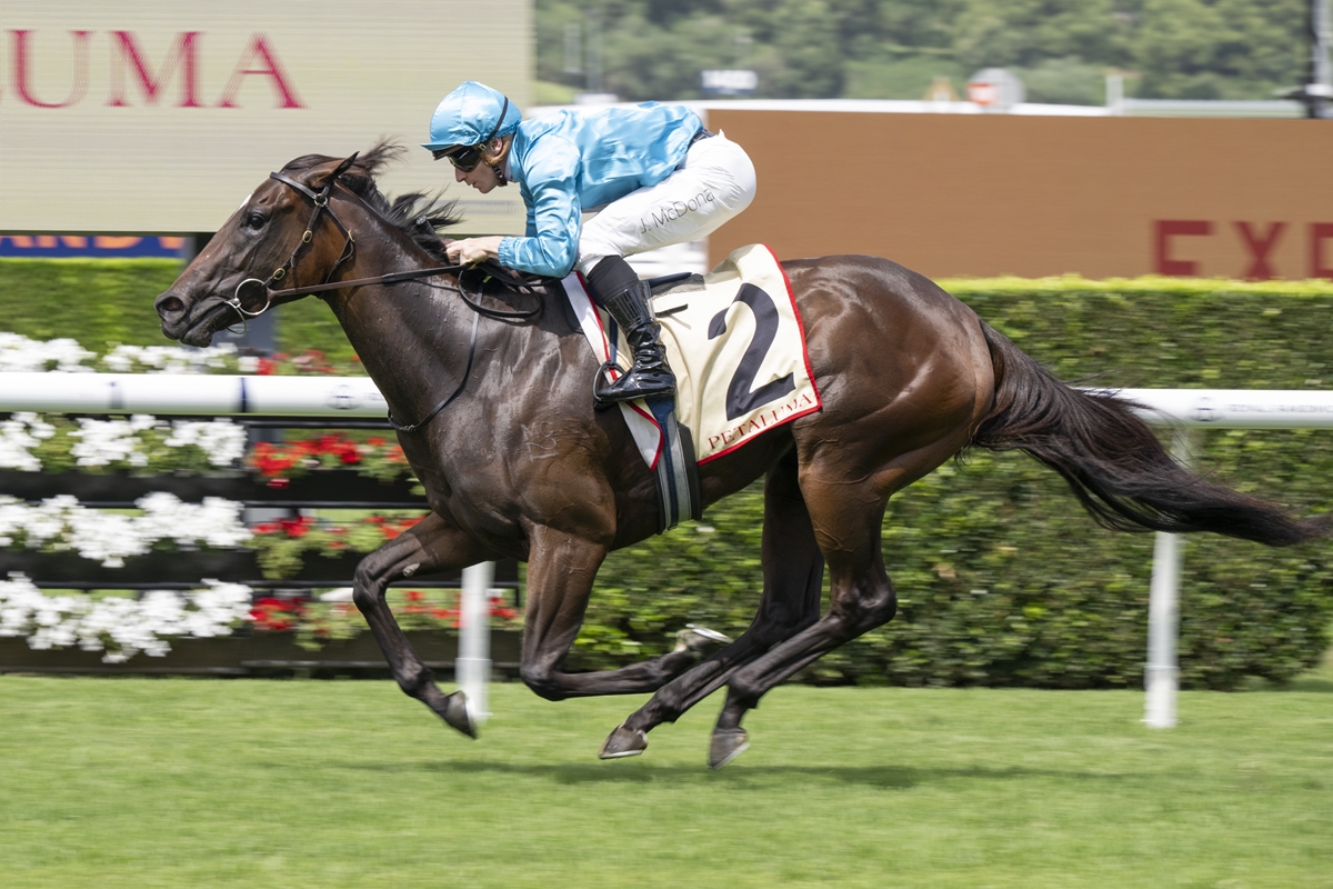 Tara Madgwick tweet media