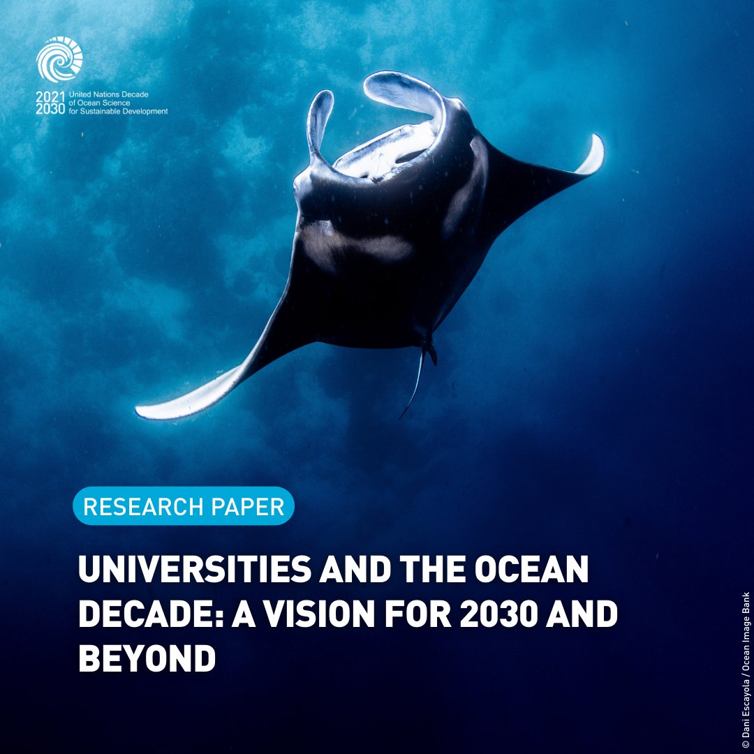 UN Ocean Decade tweet media