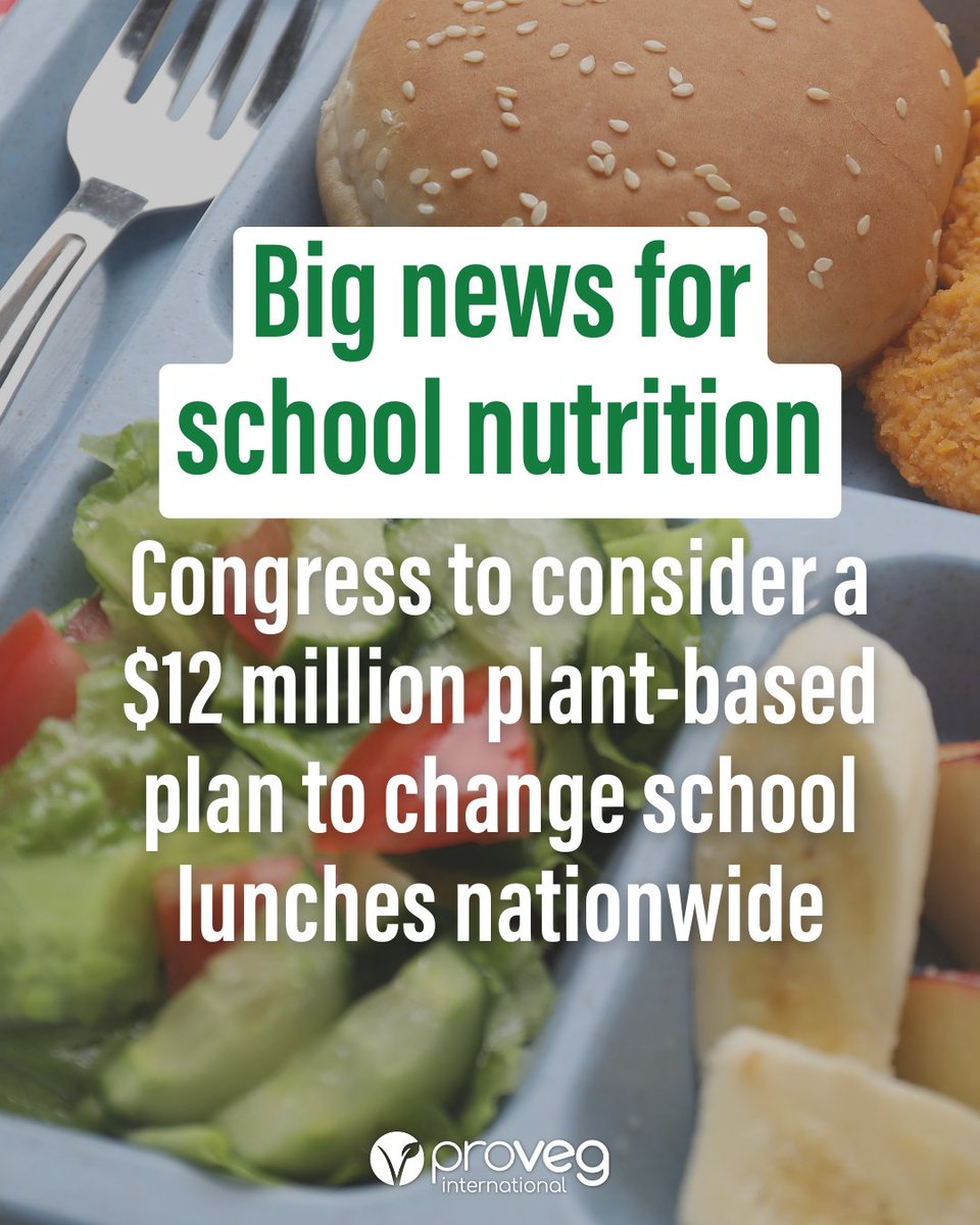 ProVeg International tweet media