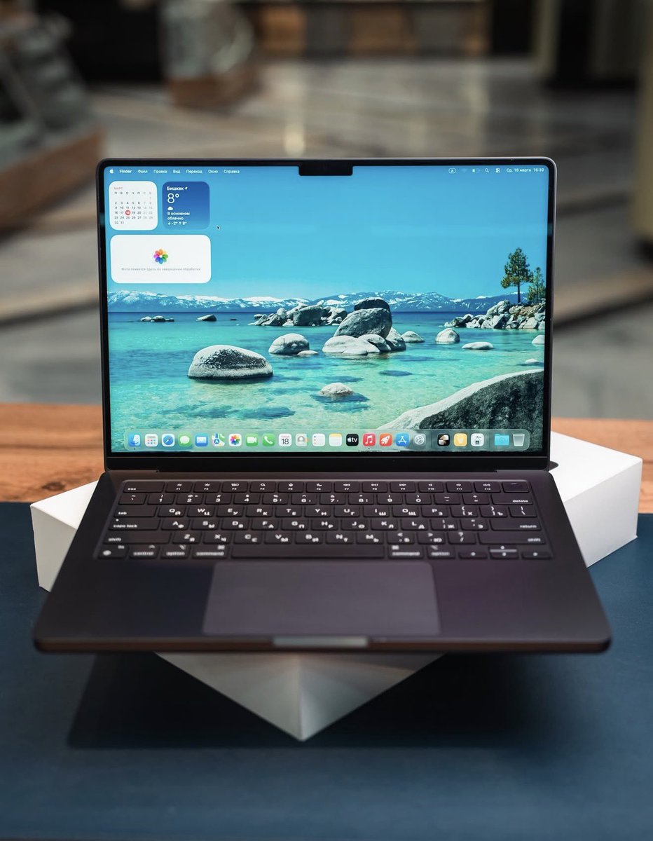 Losako Shop tweet media