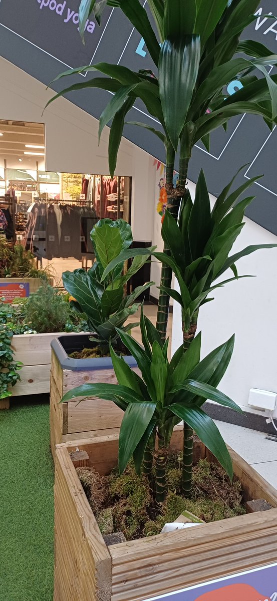 Putney Exchange Shopping Centre tweet media