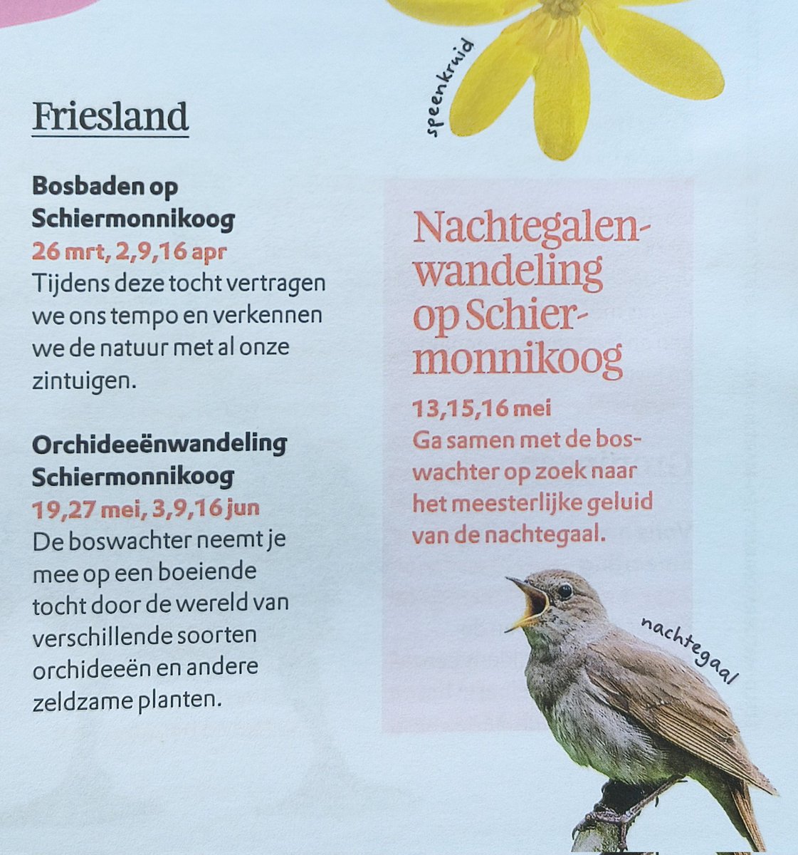 Klaas Fokkinga tweet media