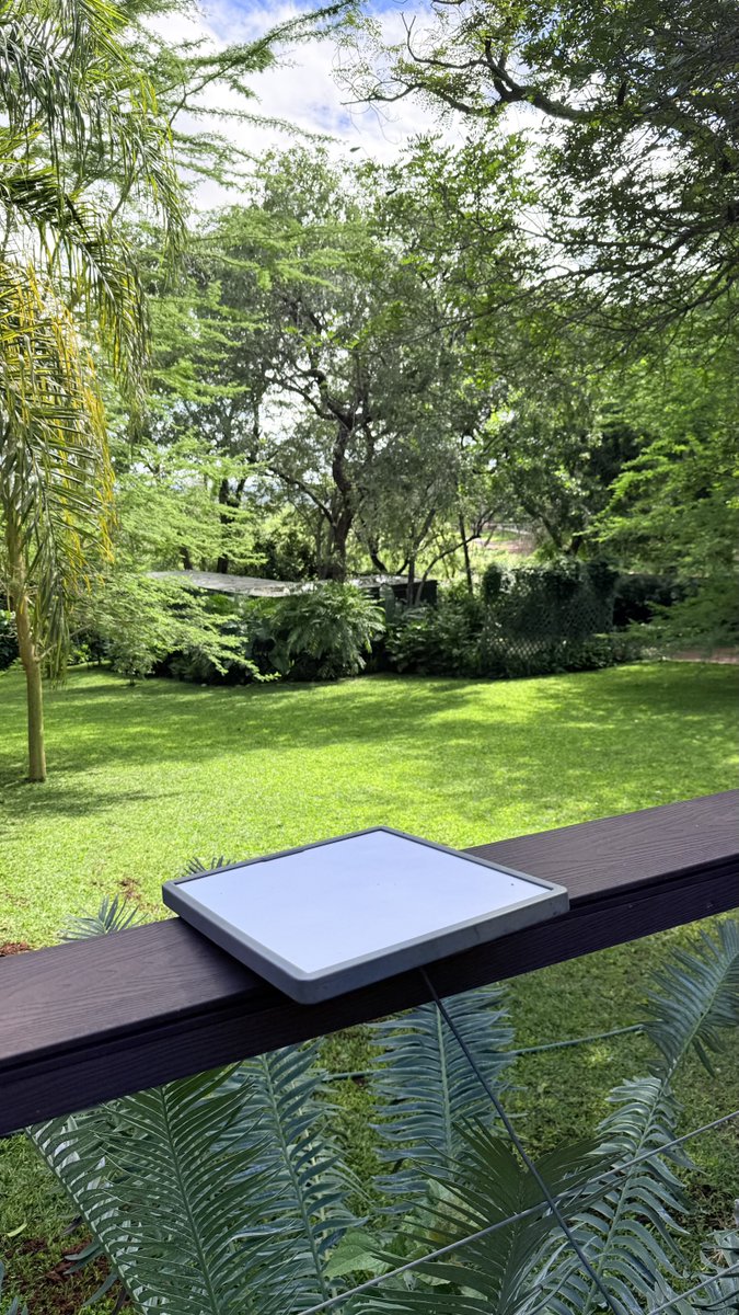 MaskingTanaka tweet media