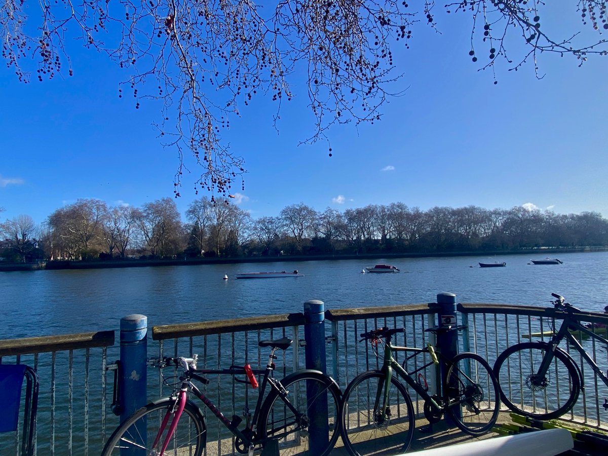 Abdel 🐝 🦋🦊 🐾 tweet media