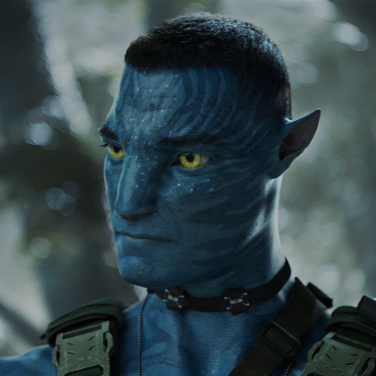 Sean (naM sdrawkcaB ehT) tweet media