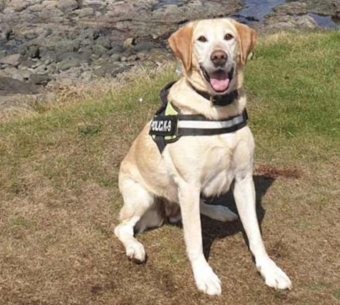 Police Mutual tweet media