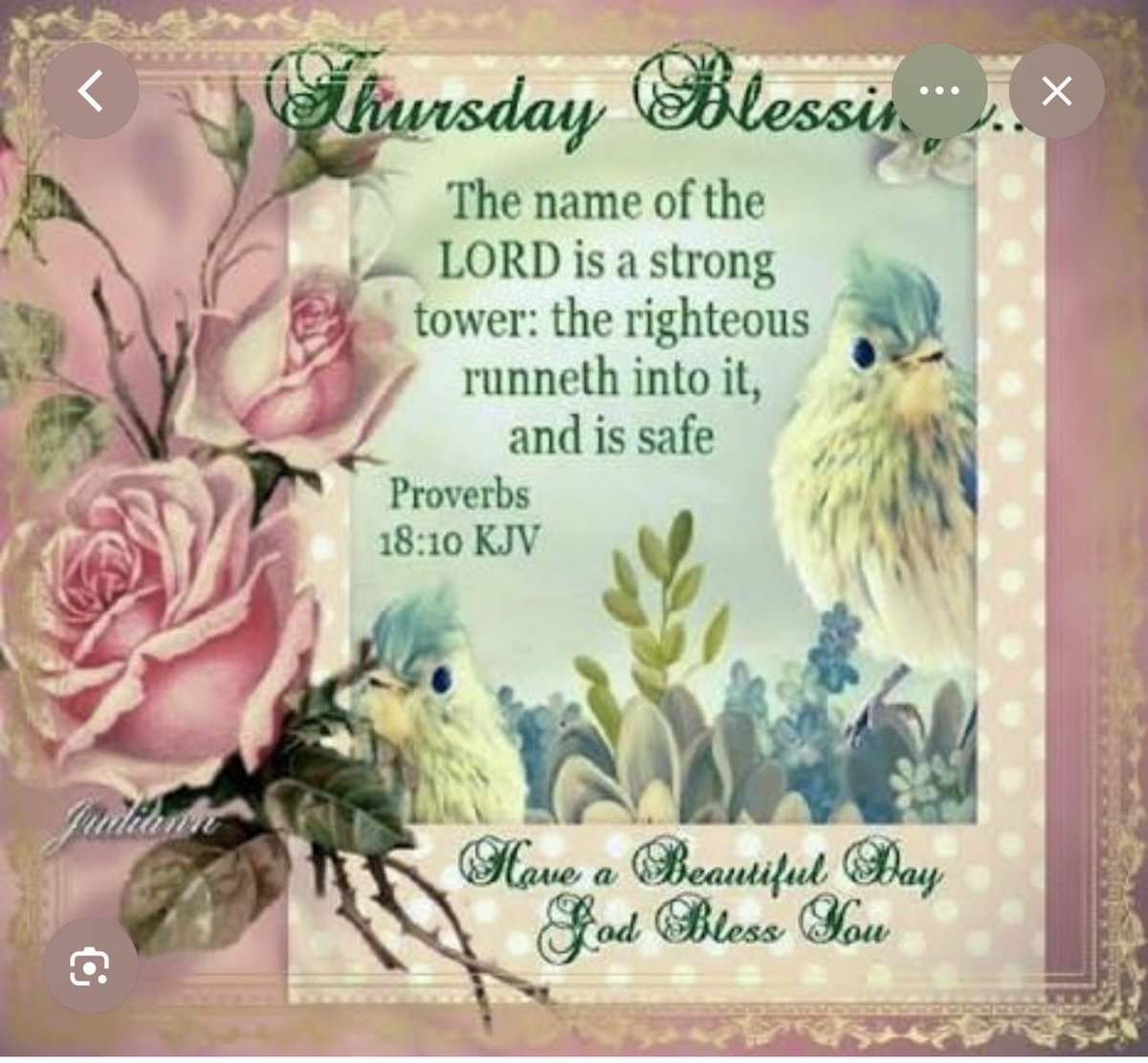 Luz Rivera 🇵🇷 tweet media