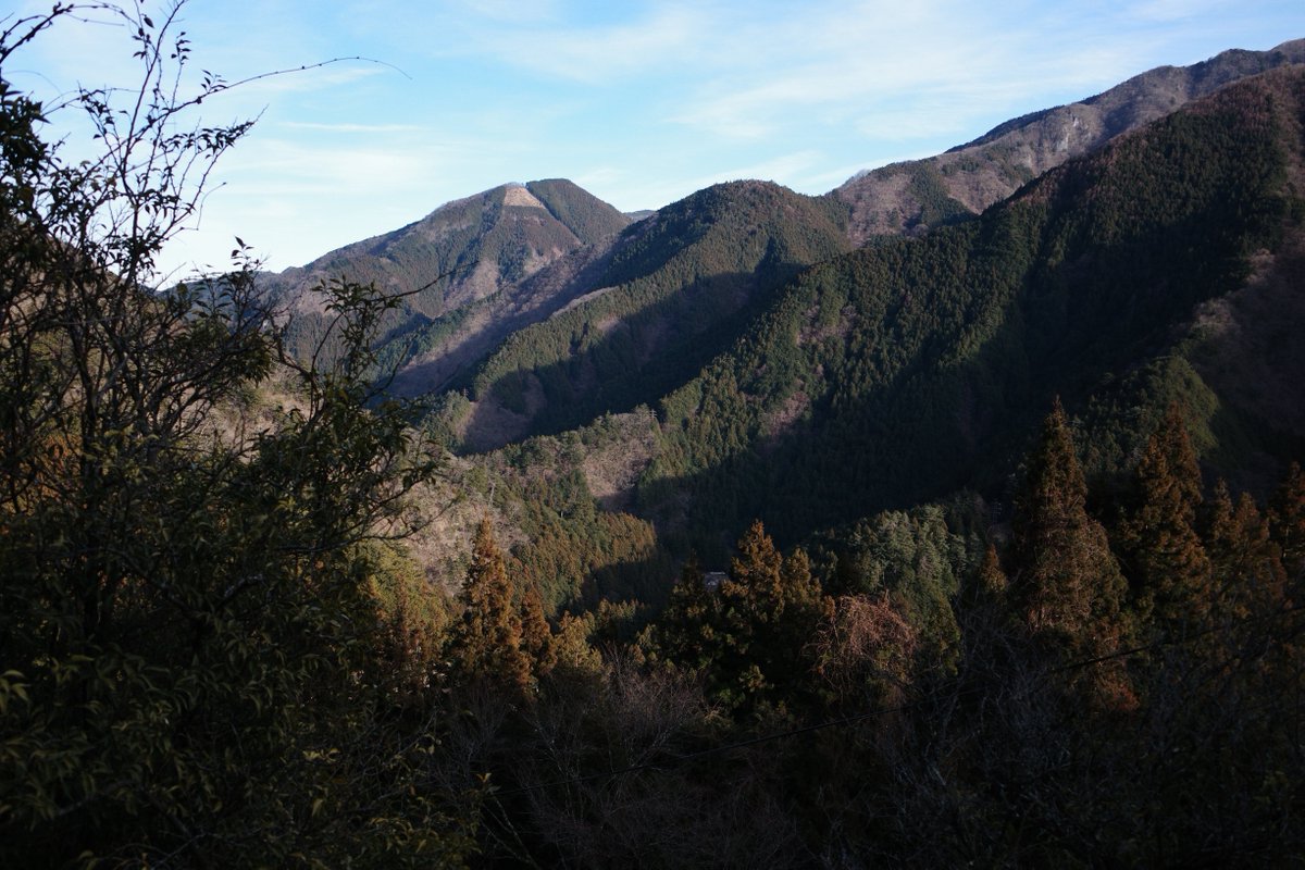 GlobalGameJam tweet media