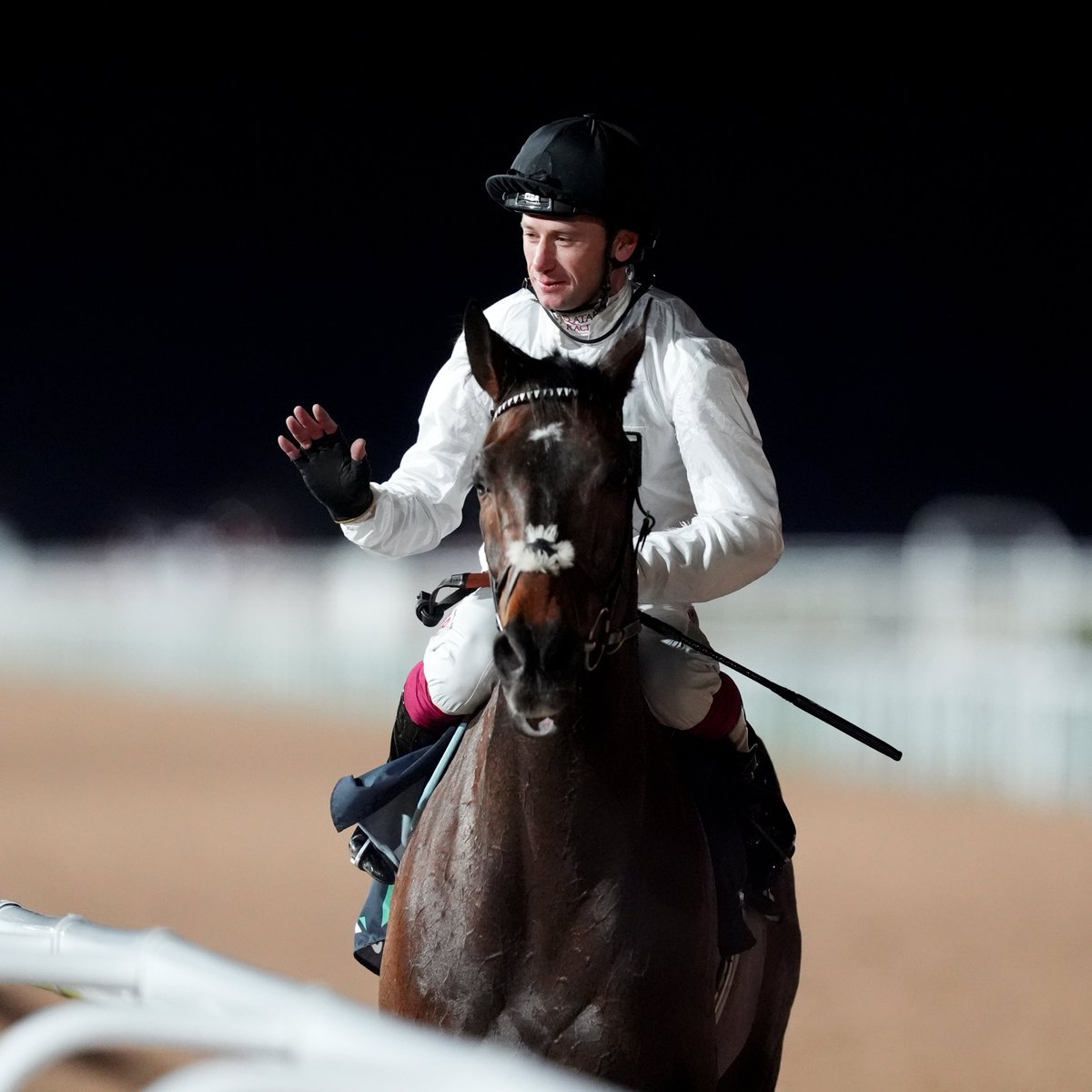 At The Races tweet media