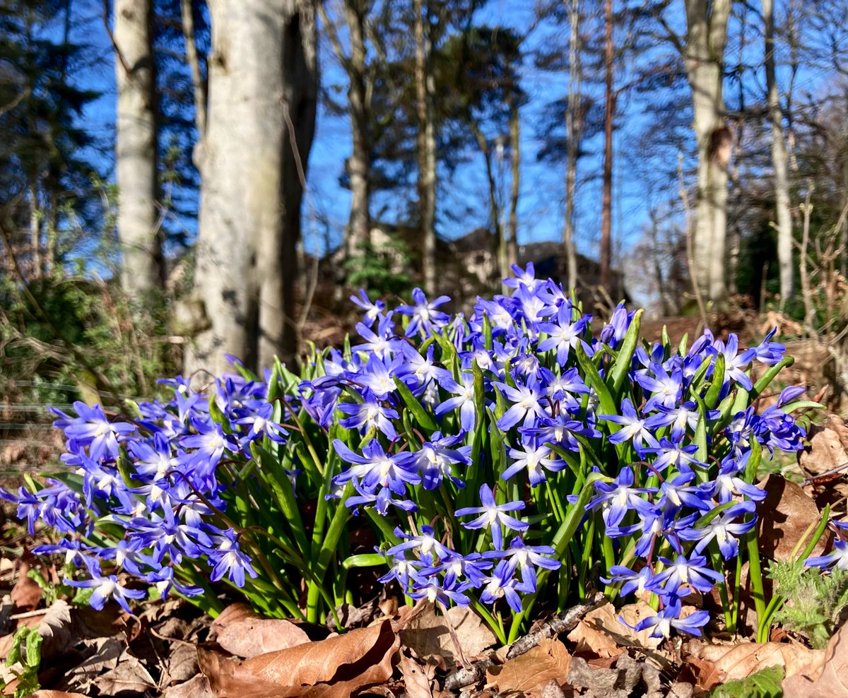 Cloudymamma tweet media