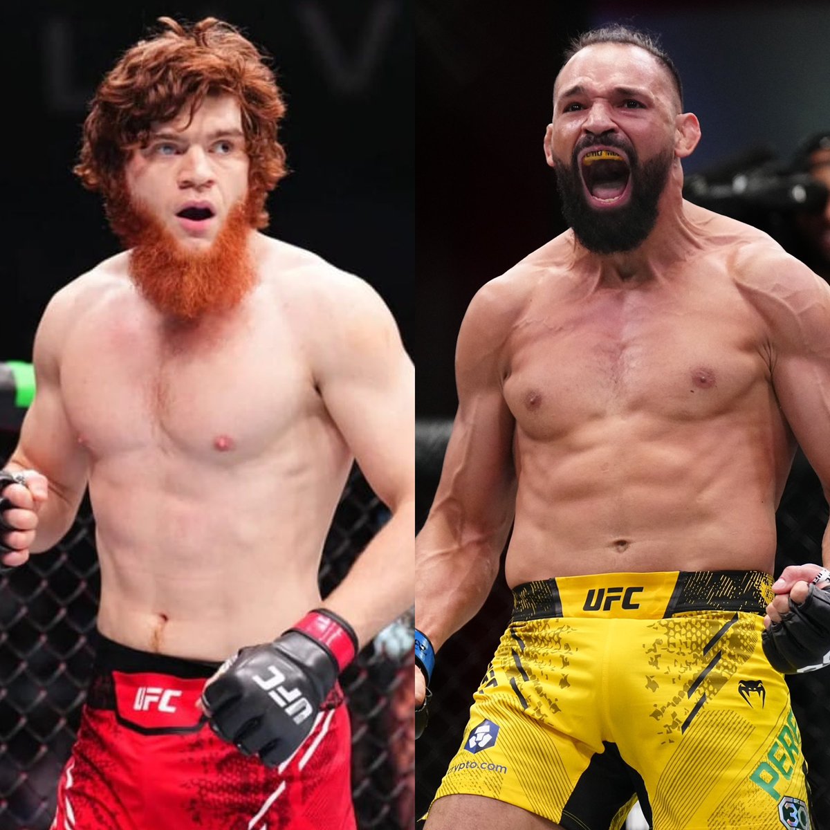 Dövüş Dünyası tweet media