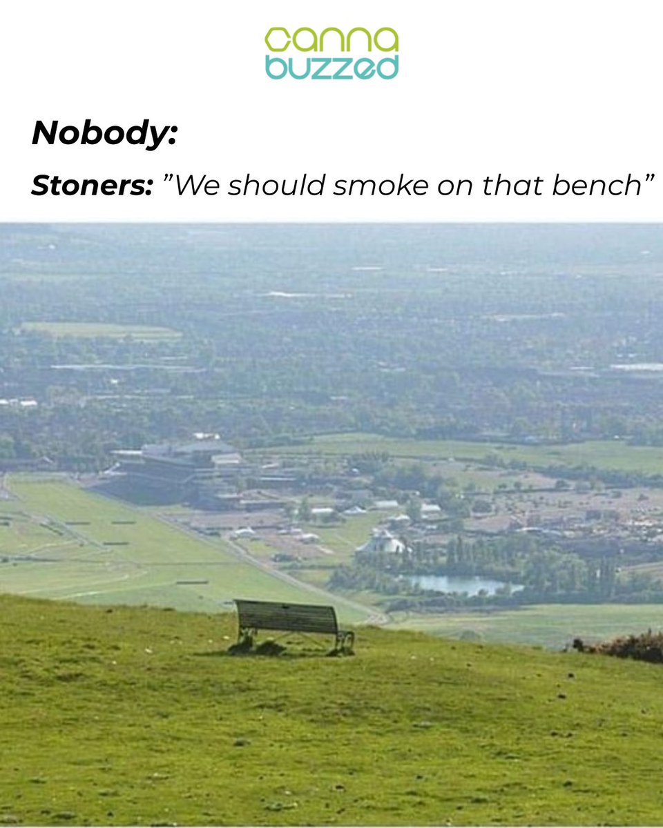 Join The Hive! tweet media