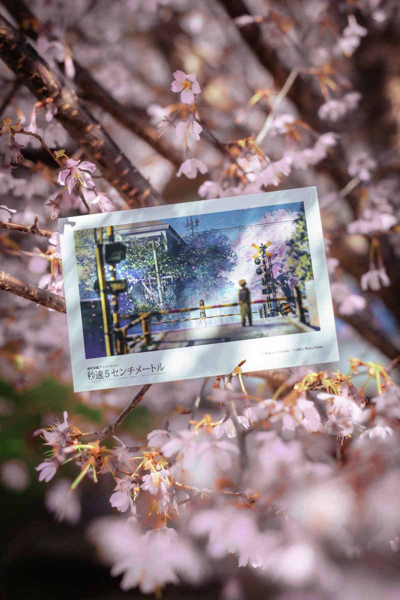 Filmarksリバイバル tweet media