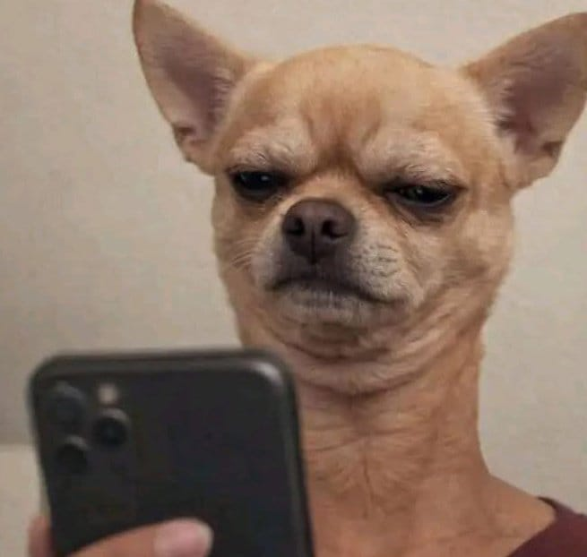 Kingangi Gitau tweet media