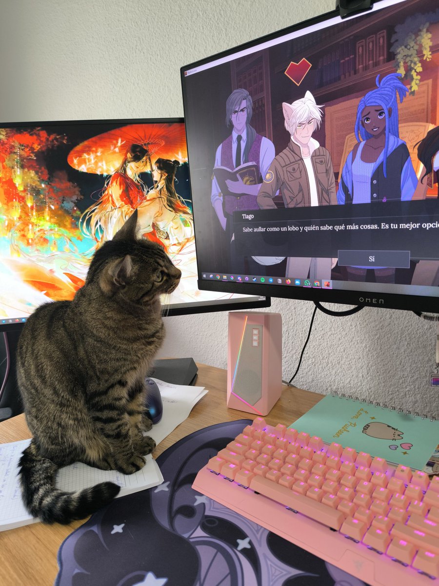 Retse Dev 🏳️‍🌈 tweet media