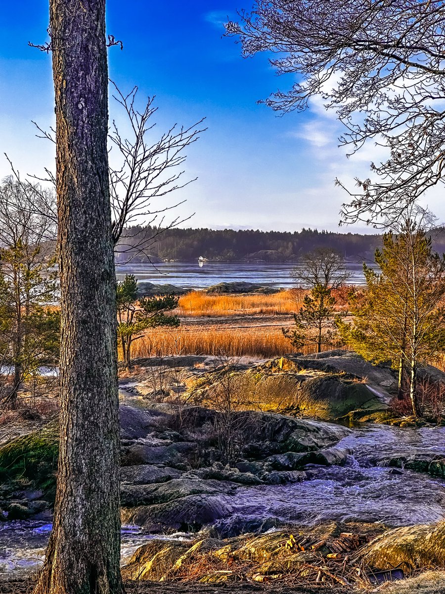 villvilje tweet media