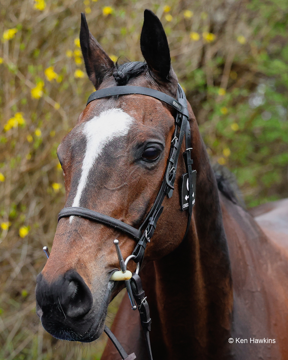 Ken Hawkins Racing Photography. tweet media