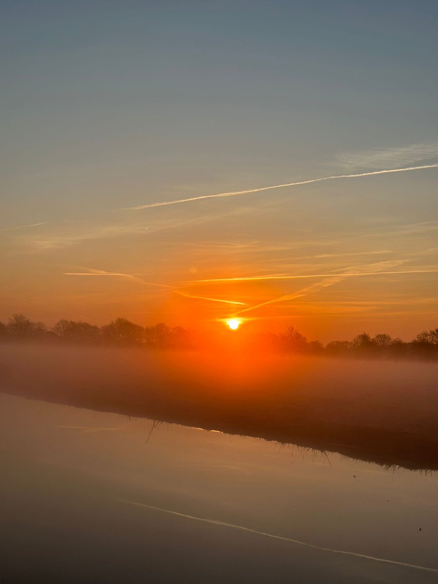 Nico Schotanus tweet media