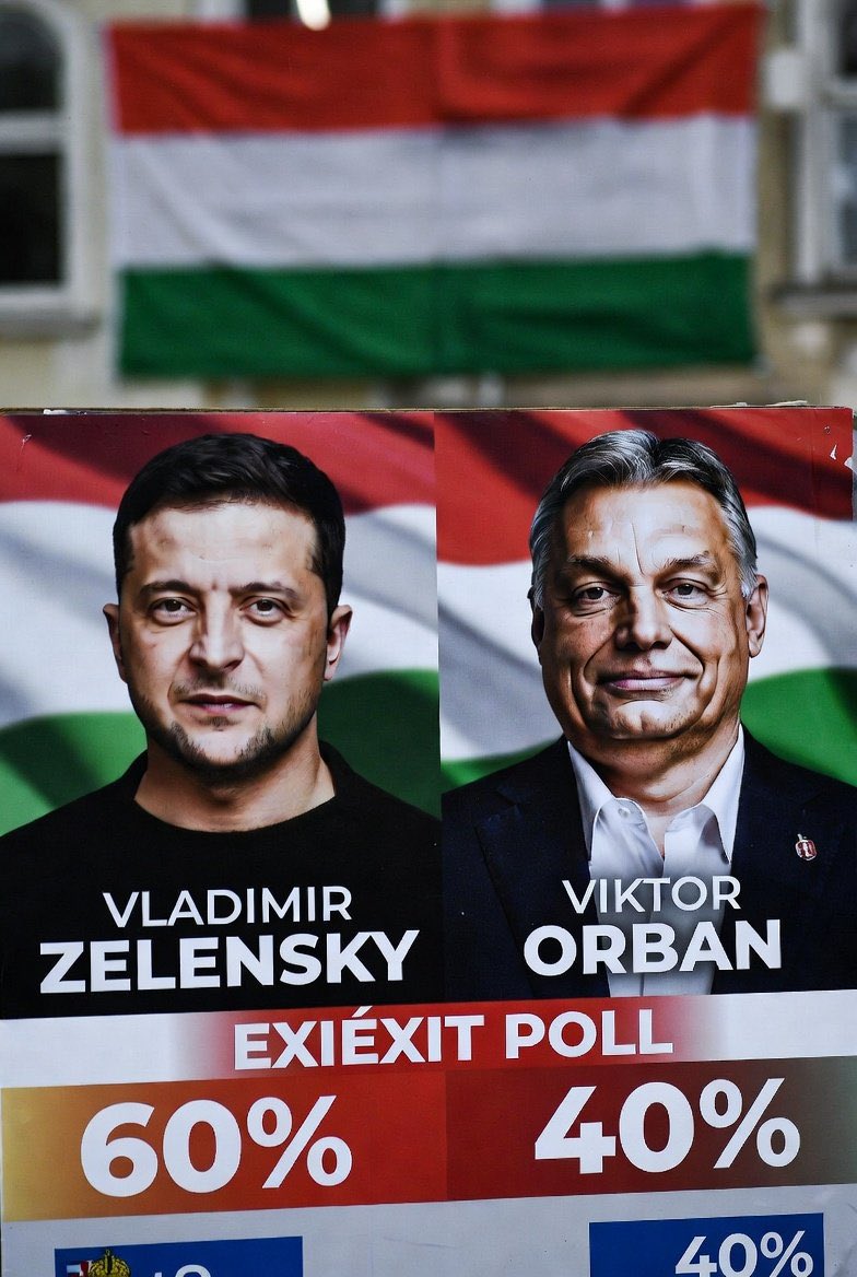 Максим Мирович tweet media