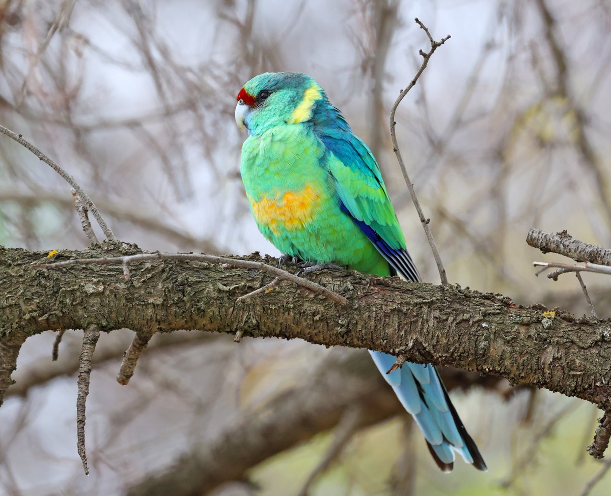 Sandy Horne tweet media