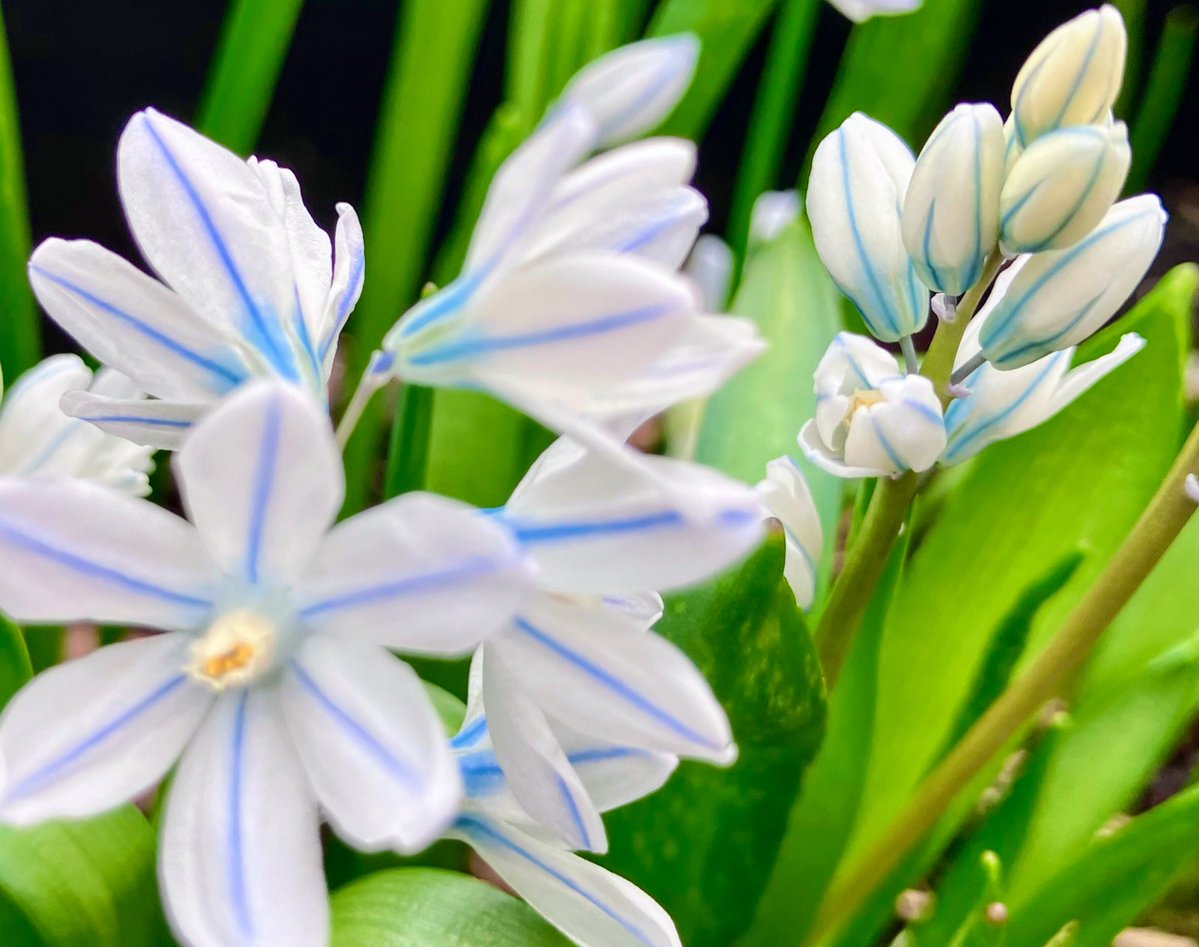 Cloudymamma tweet media