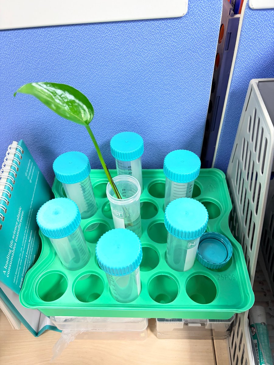 NEST Biotechnology tweet media