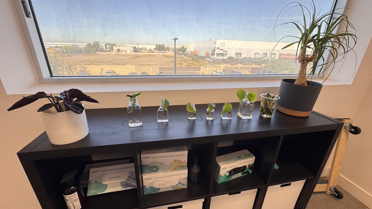 NEST Biotechnology tweet media