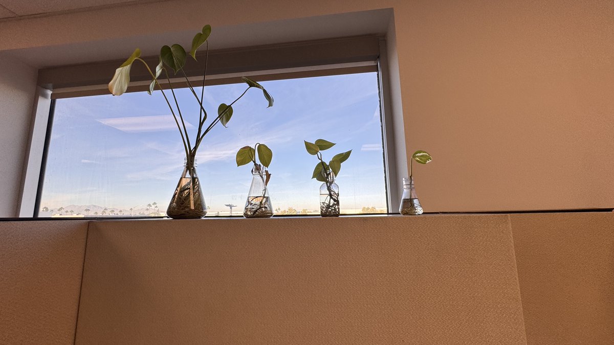 NEST Biotechnology tweet media