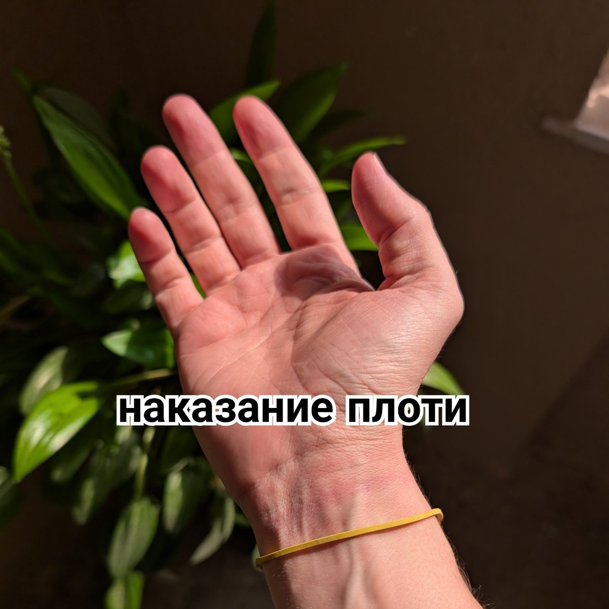 GOLDEN RETWEETER🦮 tweet media