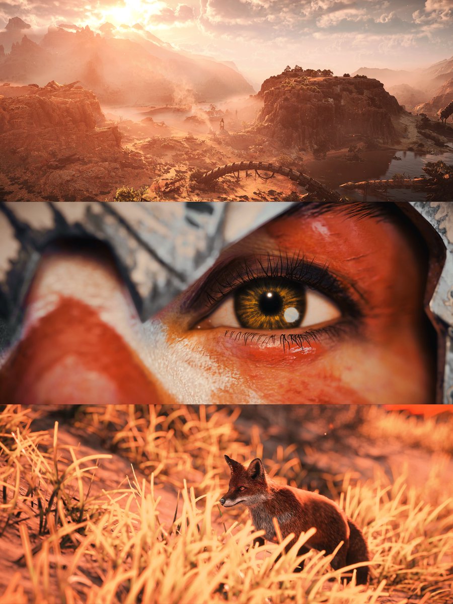 Sarah Gurrado tweet media