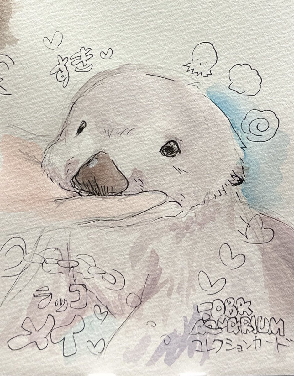 りか🦦🌸☘ tweet media