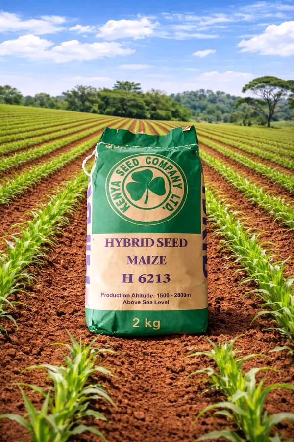 Simlaw Seeds Co. Ltd tweet media