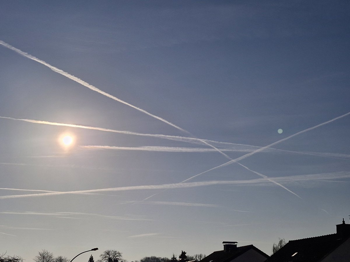 Thus Nelda tweet media