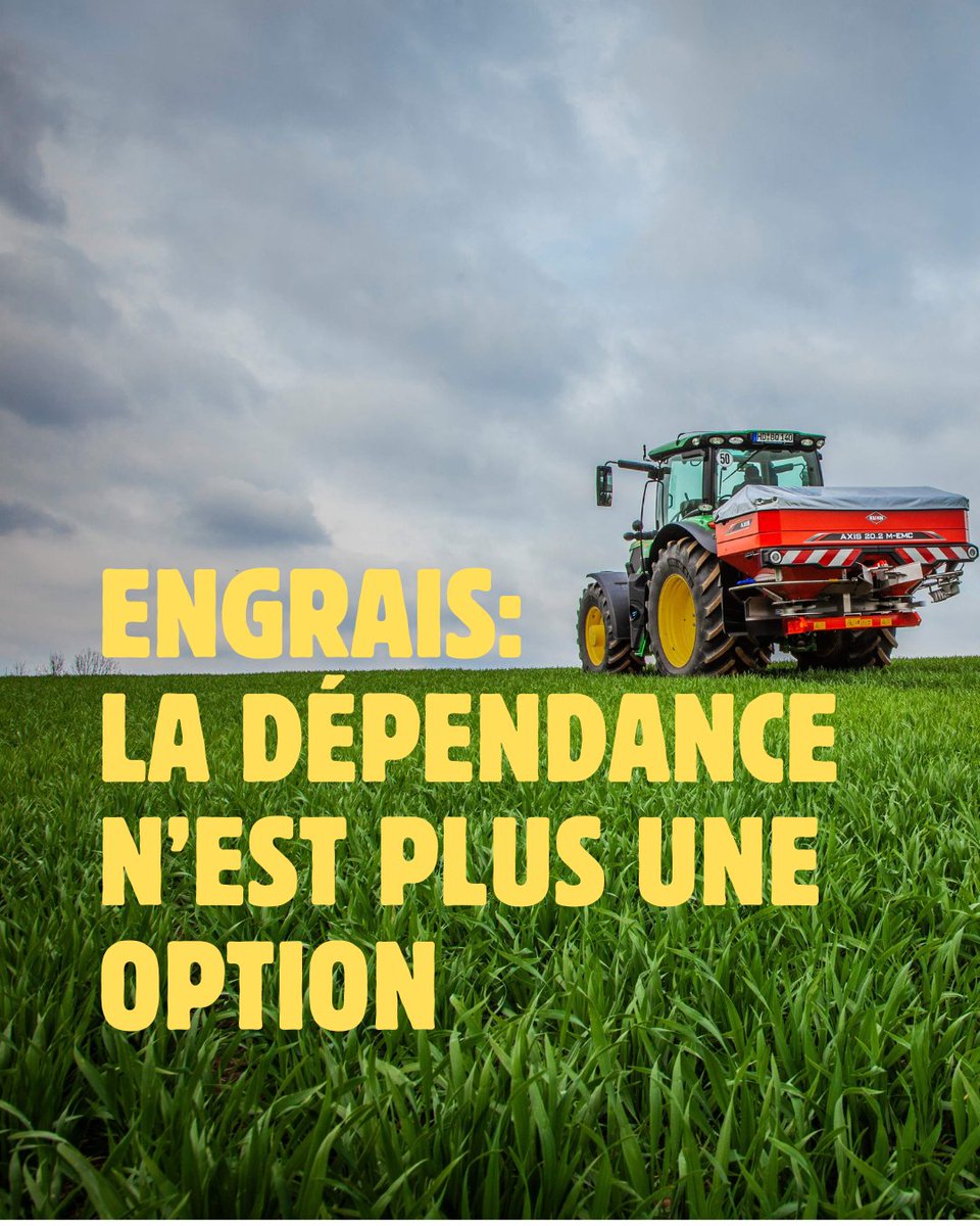 Smessaert Luc tweet media