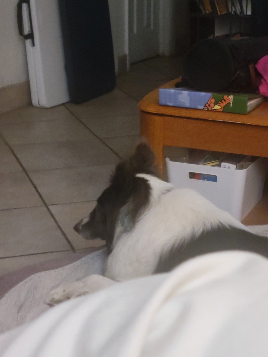 A.B. Timothy tweet media