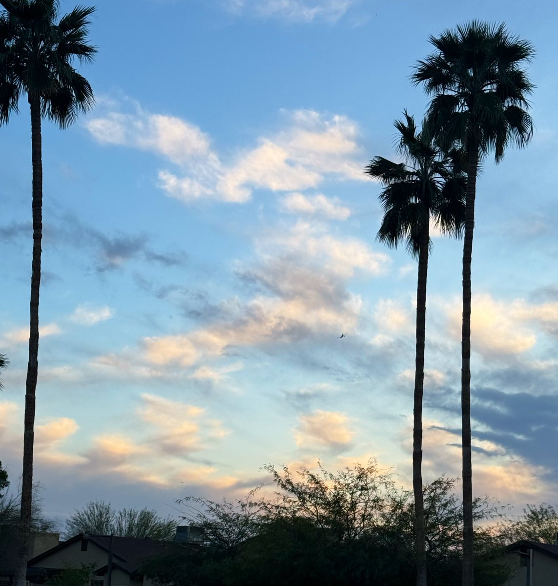 Ms. Callaway, PE tweet media