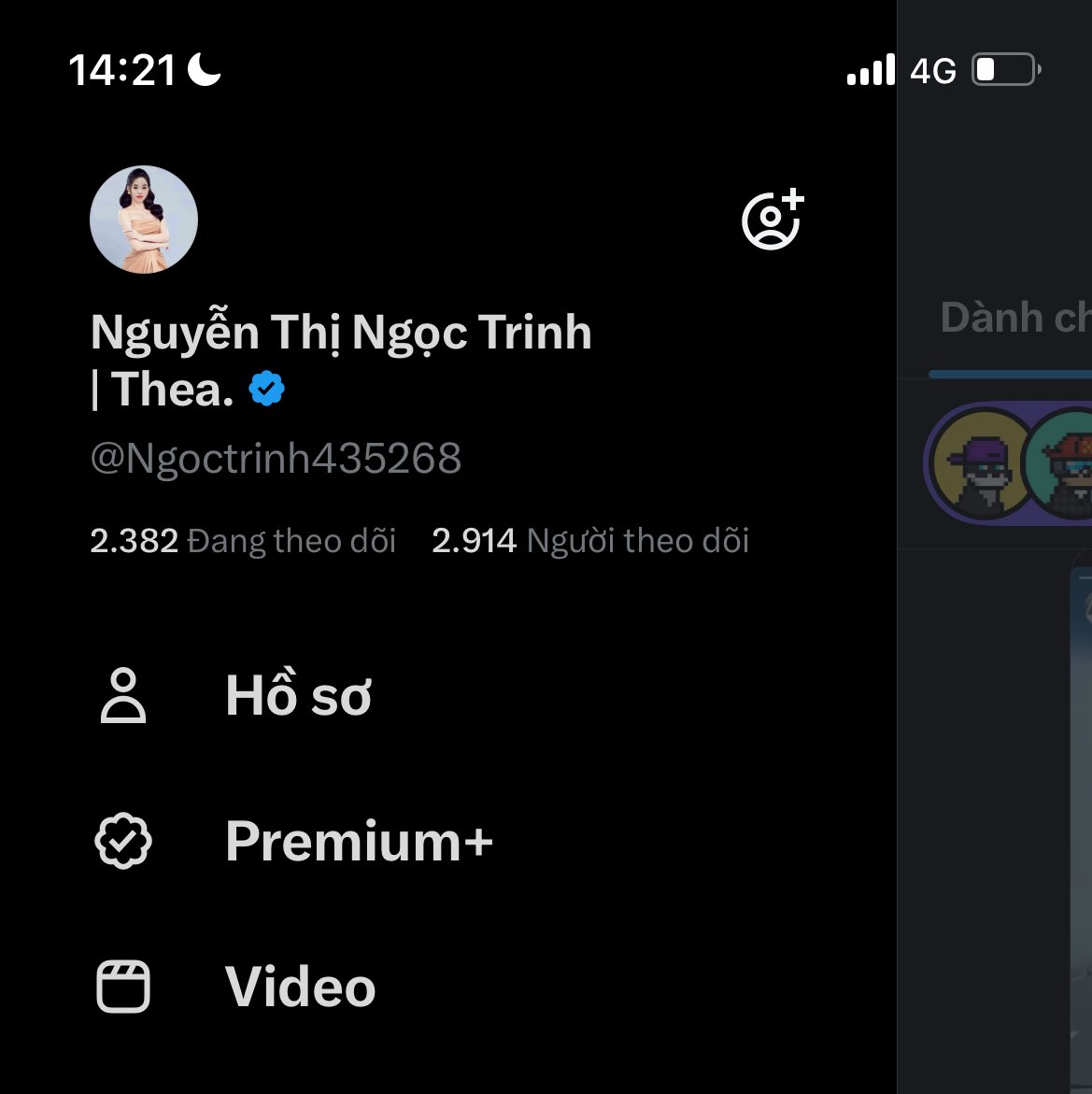 Nguyễn Thị Ngọc Trinh | Thea. tweet media
