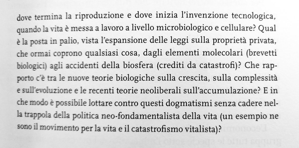 antonio pannullo tweet media