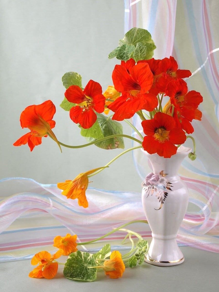 AnneLise tweet media