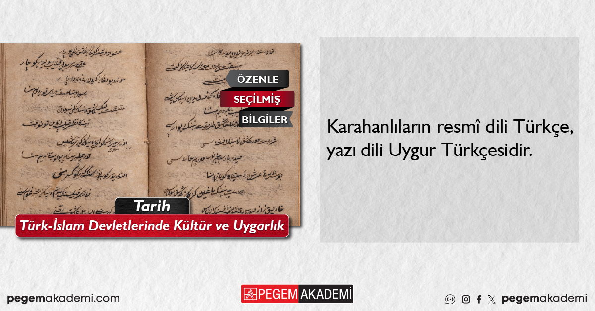 Pegem Akademi tweet media