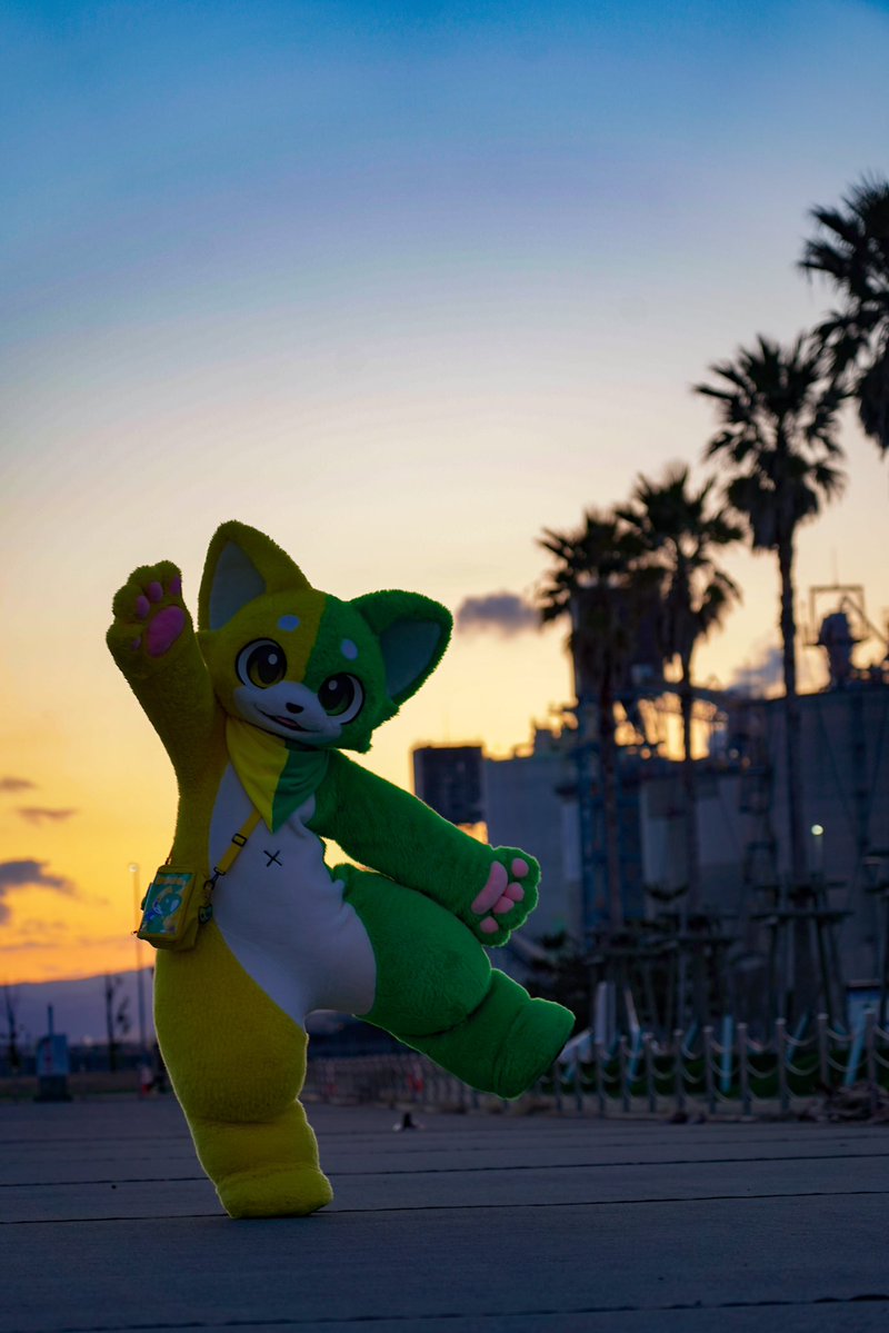 はつけもくん🔰 tweet media