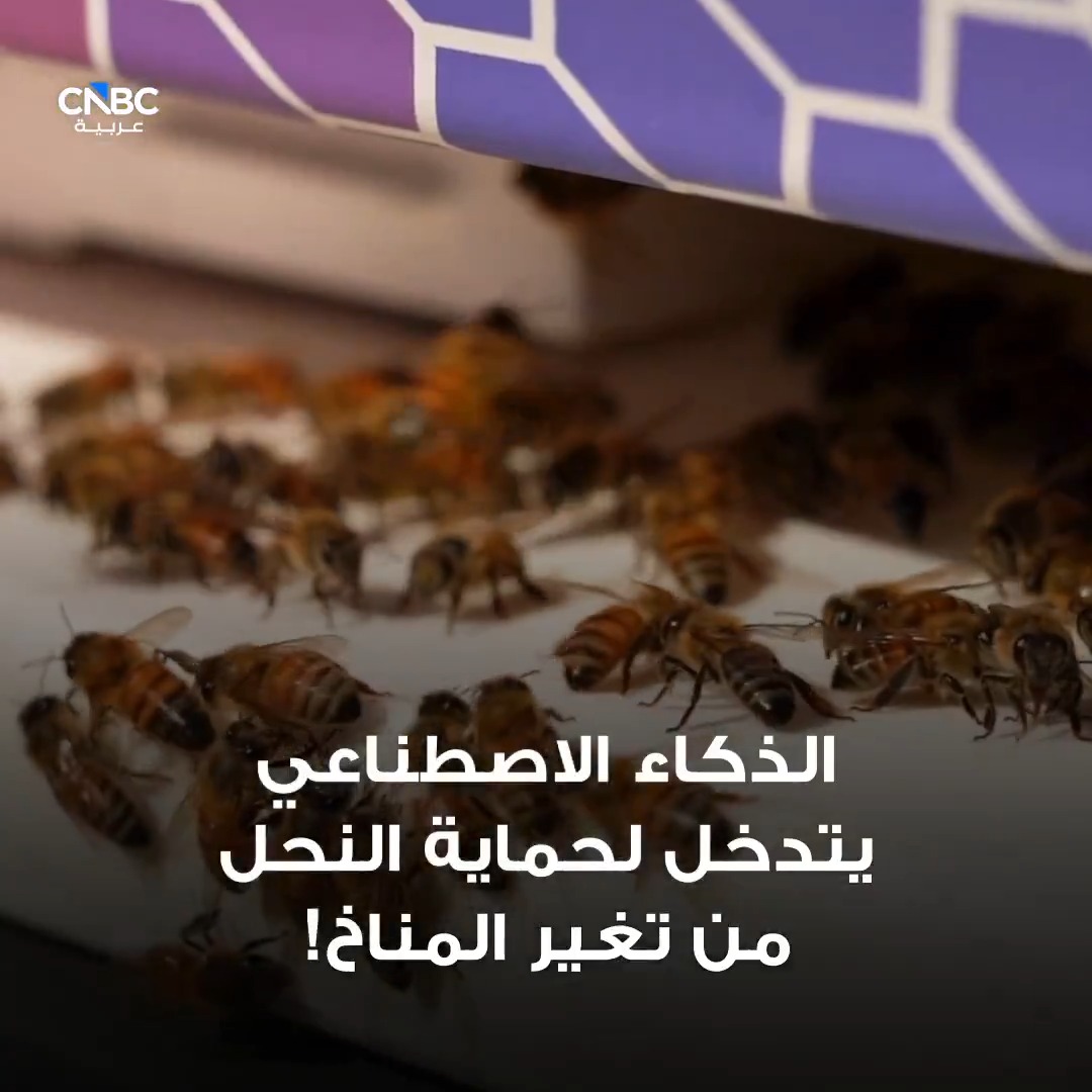 الذكاء الاصطناعي يتدخل لإنقاذ النحل من خطر الانقراض 