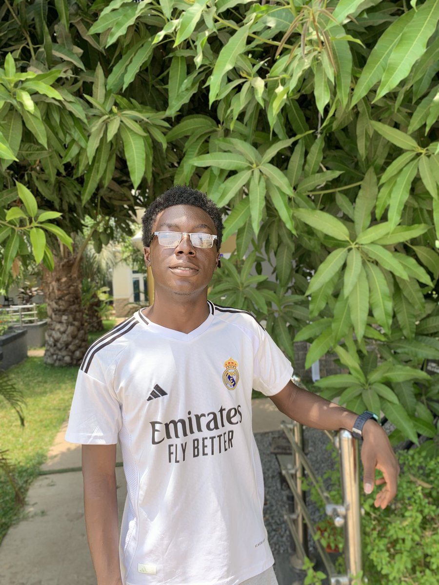 Dave 🐝 tweet media