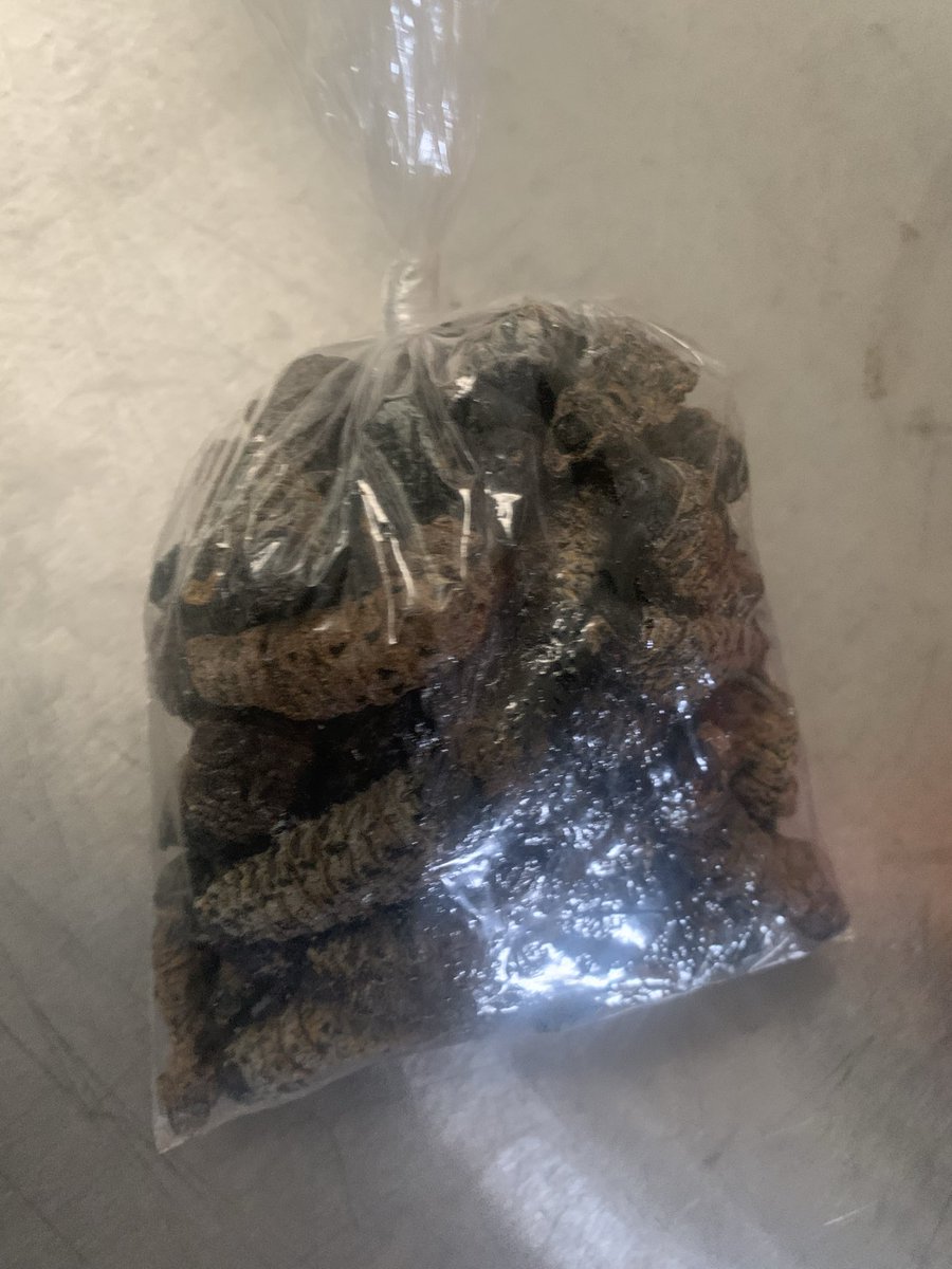 Humbulani Mudau ♠️ tweet media