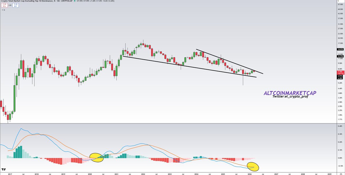 𝕄𝕠𝕦𝕤𝕥𝕒𝕔ⓗ𝕖 🧲 tweet media