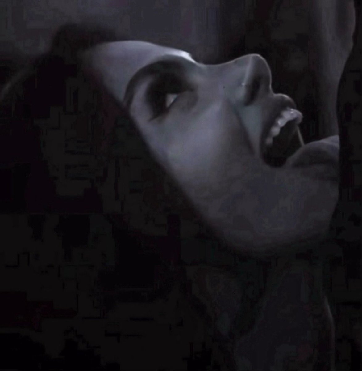 summer 🐍🎈 tweet media