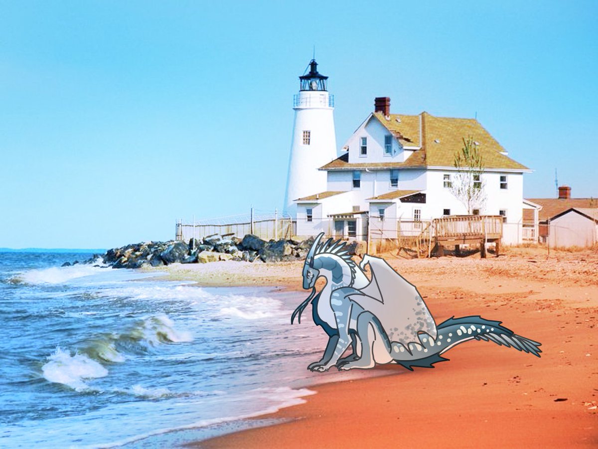 Just A guy tweet media