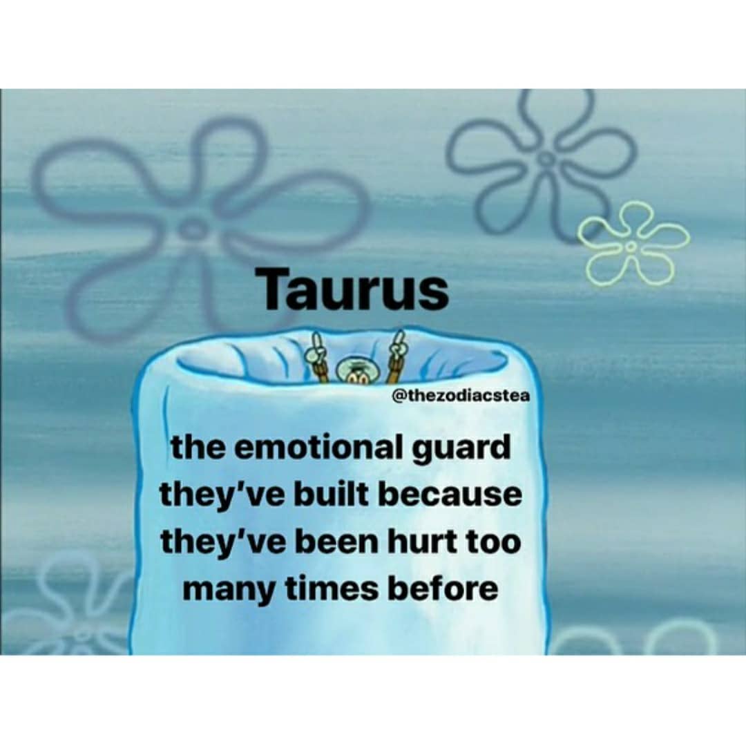 Taurus tweet media