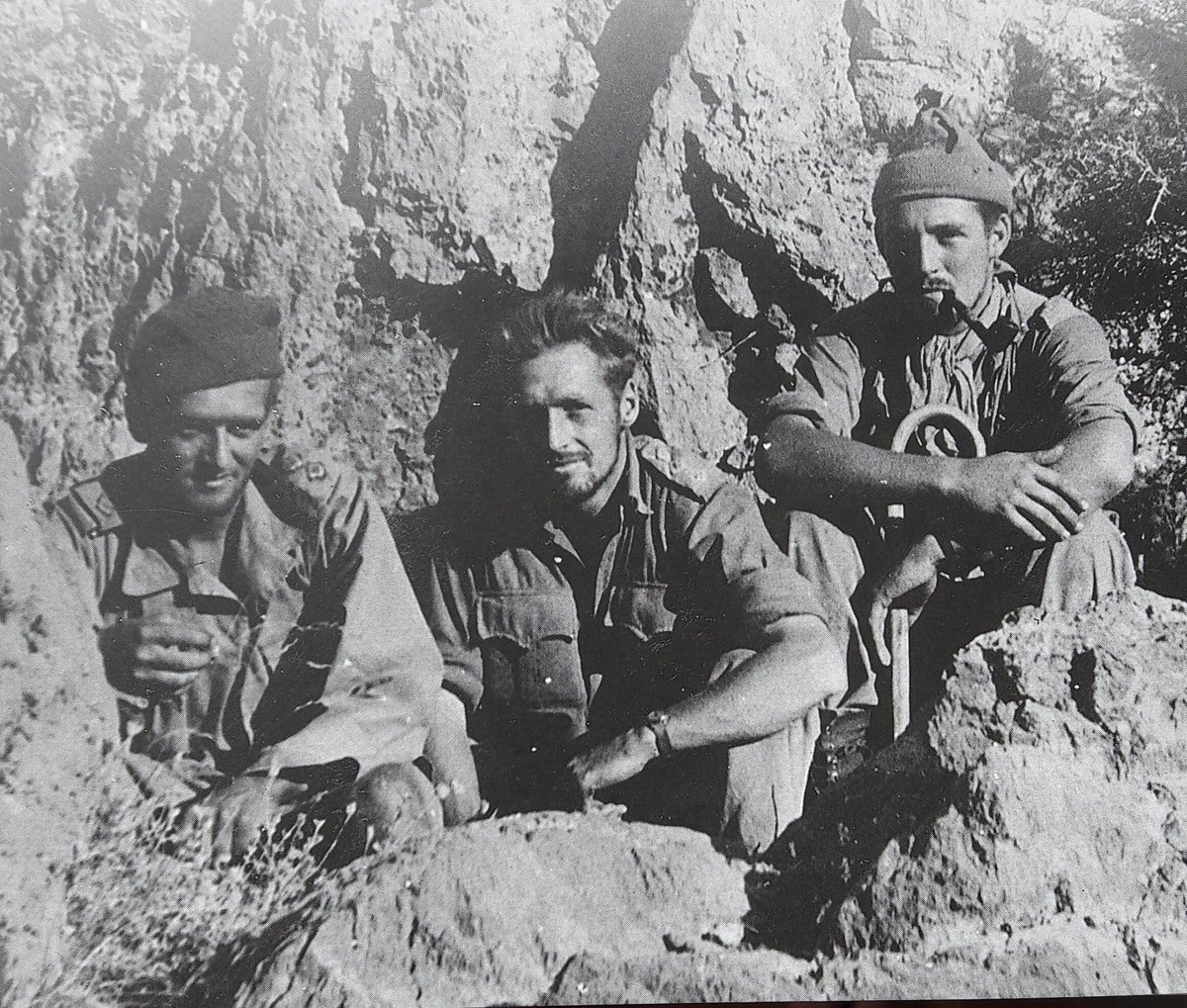 Gavin Mortimer tweet media